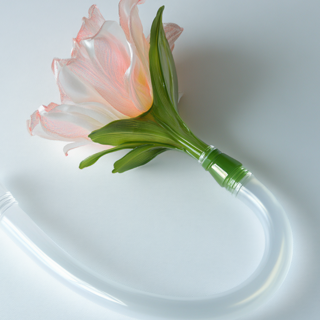 clit pump