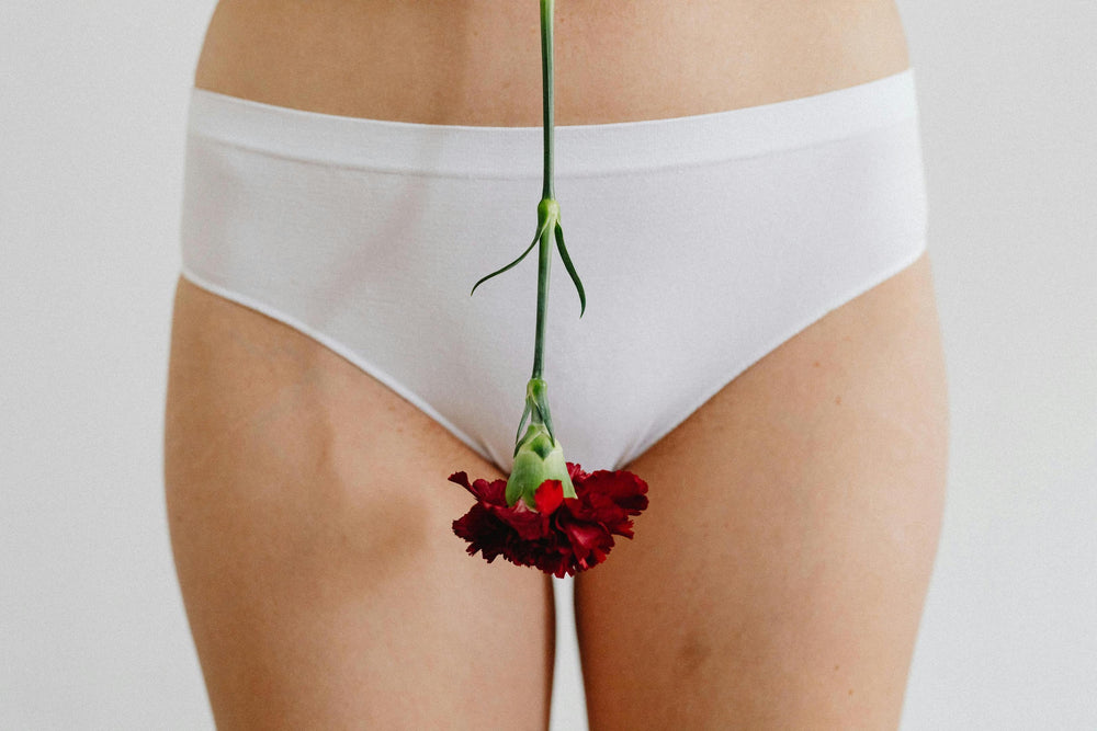 underwear for period